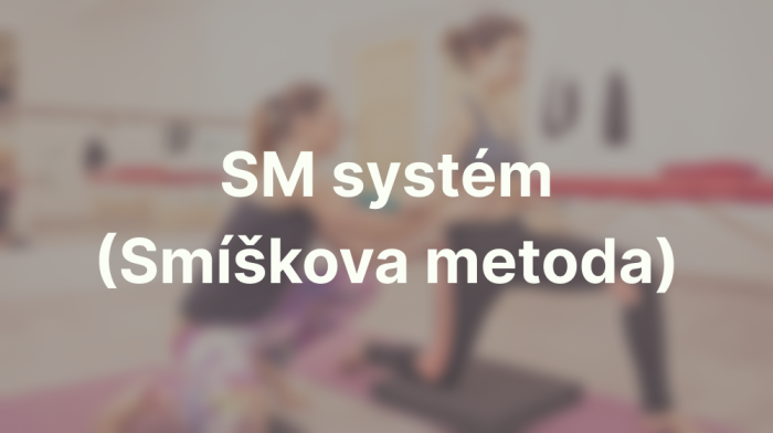 SM systém (Smíškova metoda)